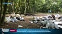 Dépôts sauvages dans les forêts d'Ile-de-France: "90% de ces déchets sont issus du bâtiment"