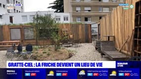 Villeurbanne: la friche des Gratte-ciel transformée en un lieu de vie