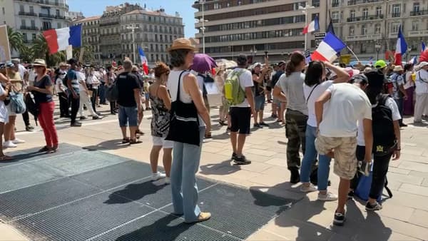Les manifestants à Toulon. 