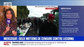 Mercosur: Prisca Thévenot (EPR) dénonce "le bruit, le chaos et la gesticulation" du RN et de LFI alors que leurs deux motions de censure sont examinées ce mercredi à l'Assemblée