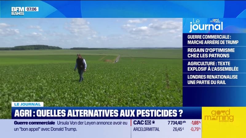 Agriculture : quelles alternatives aux pesticides ?