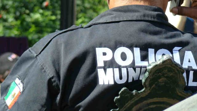 La police mexicaine a retrouvé un tigre au domicile du trafiquant.