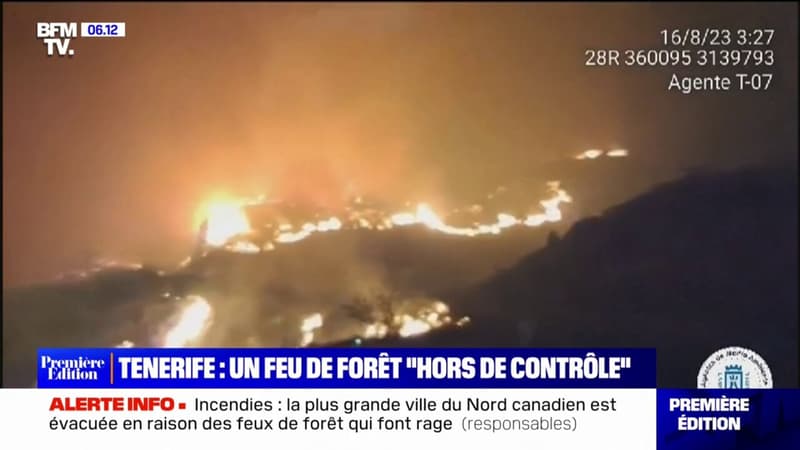 Un important incendie fait rage sur l'île espagnole de Tenerife