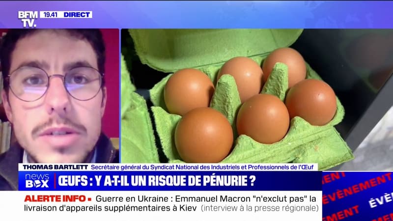 Y a-t-il un risque de pénurie d'oeufs?