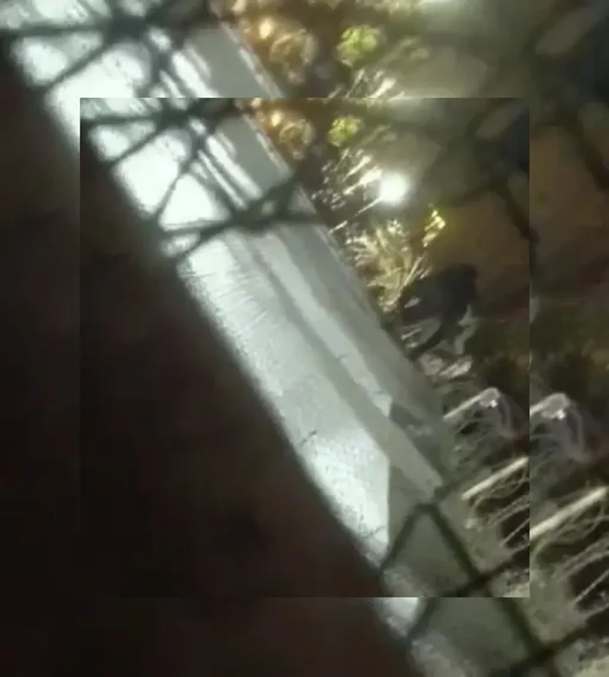 placeholder video