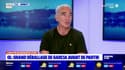 OL: Raymond Domenech regrette le départ de Bruno Génésio