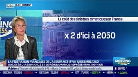 Florence Lustman (FFA): Le coût des sinistres climatiques en France pourrait doubler d'ici 2050 - 01/11