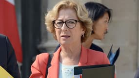La ministre de l'Enseignement supérieur Geneviève Fioraso présente 18 mesures ce mercredi.
