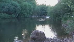 La Lergue, une rivière aux berges par endroit sablonneuses et friables, est un affluent de l'Hérault