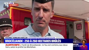 Morbihan: "Rien n'est défini à ce stade" sur les causes de l'incendie dans la forêt de Brocéliande, selon la gendarmerie