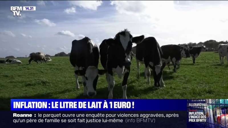 Inflation: le litre de lait atteint la barre symbolique d'un euro