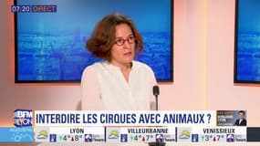 Faut-il interdire les cirques avec animaux à Lyon? Emeline Baume, conseillère municipale écologiste, était l'invitée de Bonjour Lyon