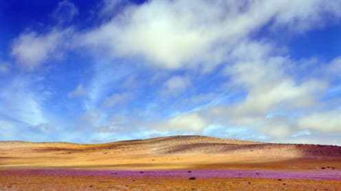 Le désert d'Atacama, au Chili