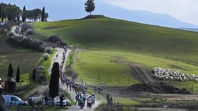 Strade Bianche