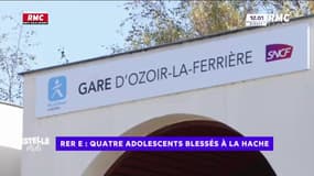 RER E: quatre adolescents blessés à la hache lors d'une bagarre 