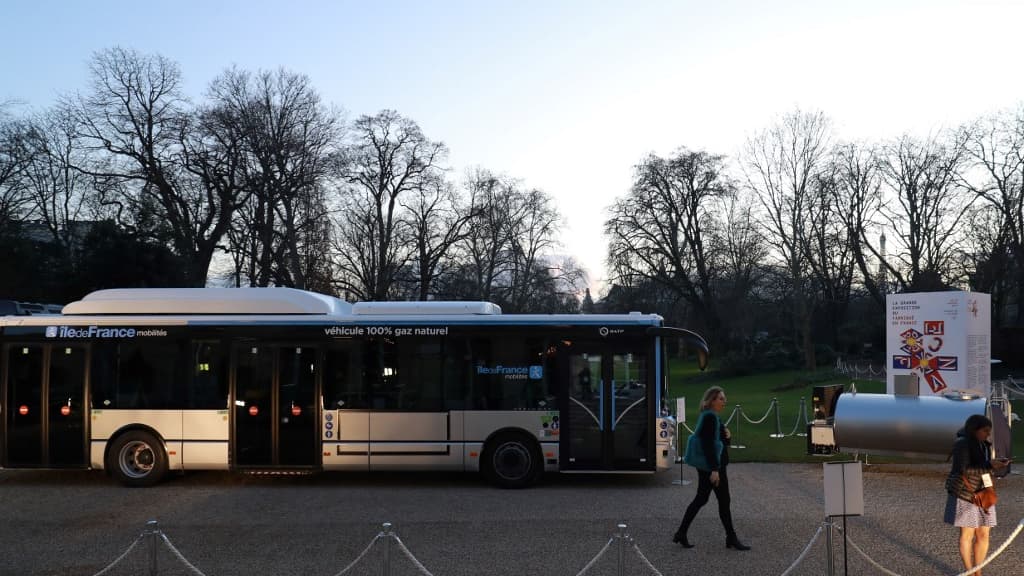 Autobus Anbinder Elastik pour transport et Clapier Noir