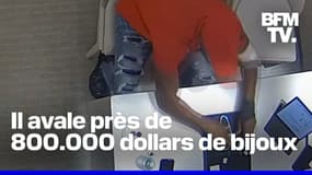 La police américaine récupère près de 800.000 euros de bijoux qu'un voleur avait avalés