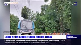 Yvelines: un arbre tombe sur la ligne N à Saint-Cyr-l'École