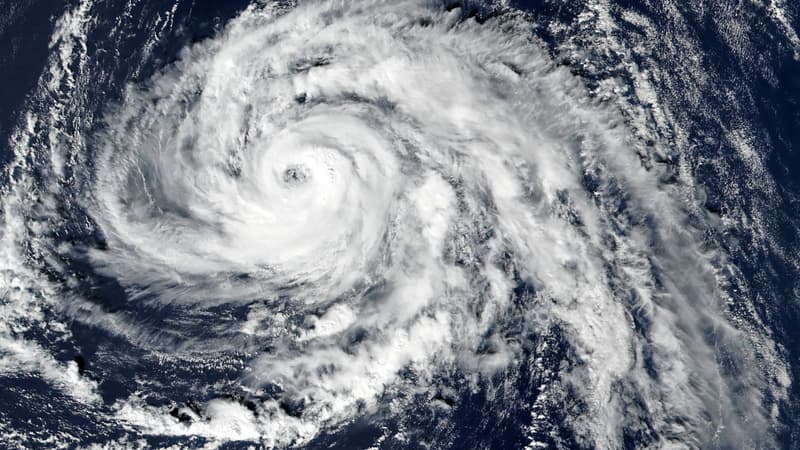 La tempête Ophelia a fondu sur l'Irlande.