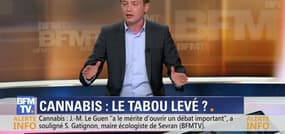Cannabis: Jean-Marie Le Guen relance le débat sur la dépénalisation (3/3)