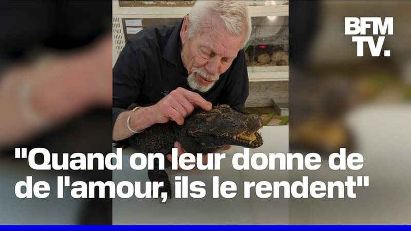 Mygales, caïmans, scorpions... Phillipe recueille et protège près de 400 reptiles dans son refuge