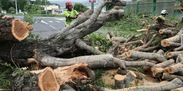Des employés municipaux tronçonnent des branches d'arbres tombés pendant le cyclone Belal, le 16 janvier 2024 à Saint-Paul, à La Réunion