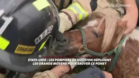 Le sauvetage impressionnant d'un poney aux Etats-Unis