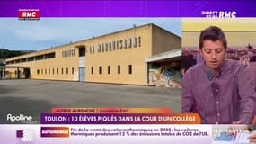 Toulon : dix élèves piqués dans la cour d'un collège
