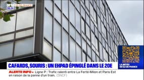 Cafard, souris: un Ehpad épinglé dans le 20e arrondissement de Paris