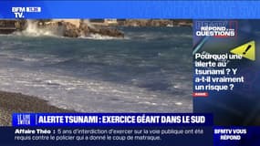 Alerte au tsunami: y a-t-il vraiment un risque en France? BFMTV répond à vos questions