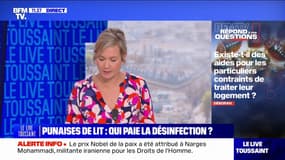 Existe-t-il des aides pour les particuliers contraints de traiter leur logement contre le punaises de lit? BFMTV répond à vos questions