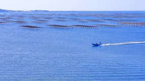 L'étang de Thau dans le département de l'Hérault, le 16 juin 2023. (Photo d'illustration)
