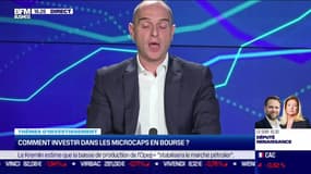 Thèmes d'investissement: Comment investir dans les Microcaps en bourse ? - 06/10