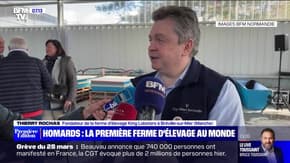 Homards : la première ferme d'élevage au monde - 29/03