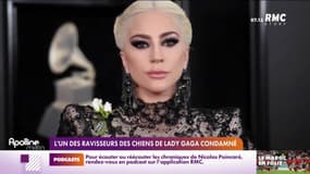 L'un des ravisseurs des chiens de Lady Gaga condamné 