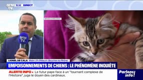Empoisonnements d'animaux: "Les familles vivent ça comme un véritable deuil", affirme Lionel De Cala, maire LR d'Allauch