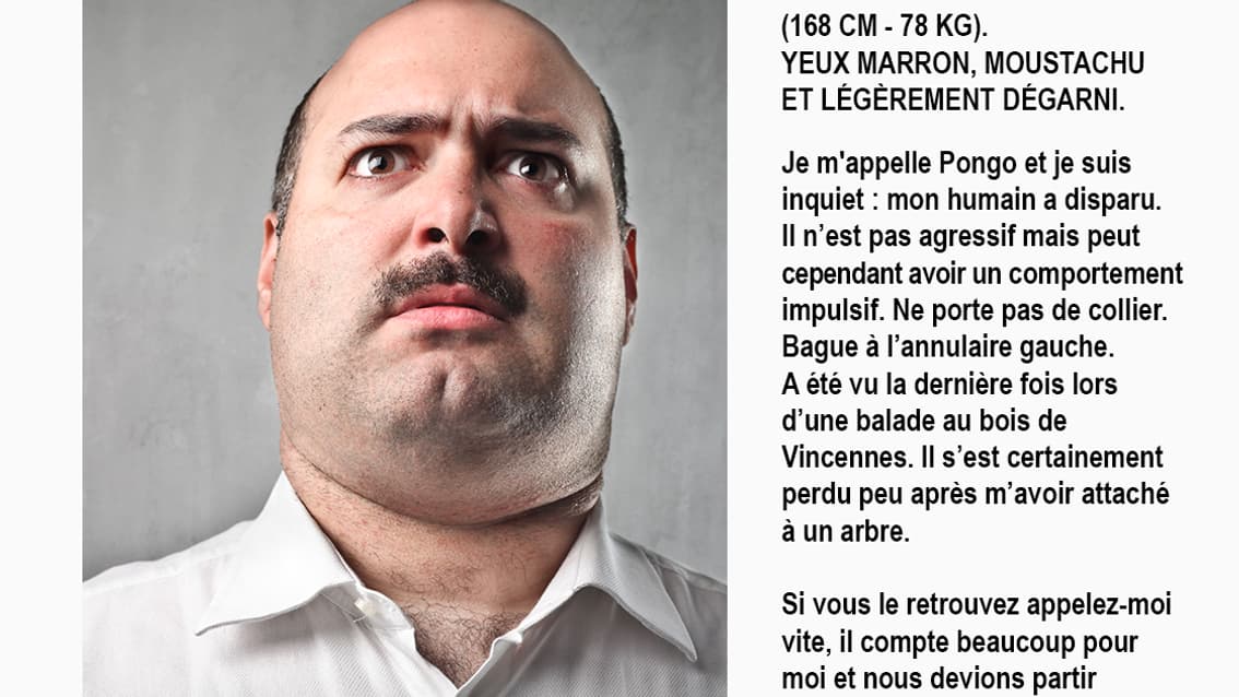 La nouvelle campagne lancée par la SPA, septembre 2023 La nouvelle campagne lancée par la SPA, septembre 2023