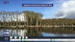 Météo Paris Ile-de-France du 6 février: Petites perturbations et ciel nuageux ce matin