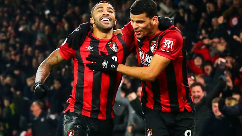 Callum Wilson