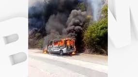 Le feu a demarré route de Laghet sur la commune de la Trinité et s'est propagé à la végétation mitoyenne.

