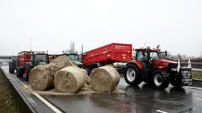 Un blocage d'agriculteurs pendant un mouvement de colère nationale le 25 janvier 2024 à Séclin (Nord)