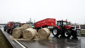 Un blocage d'agriculteurs pendant un mouvement de colère nationale le 25 janvier 2024 à Séclin, dans le Nord (photo d'illustration)