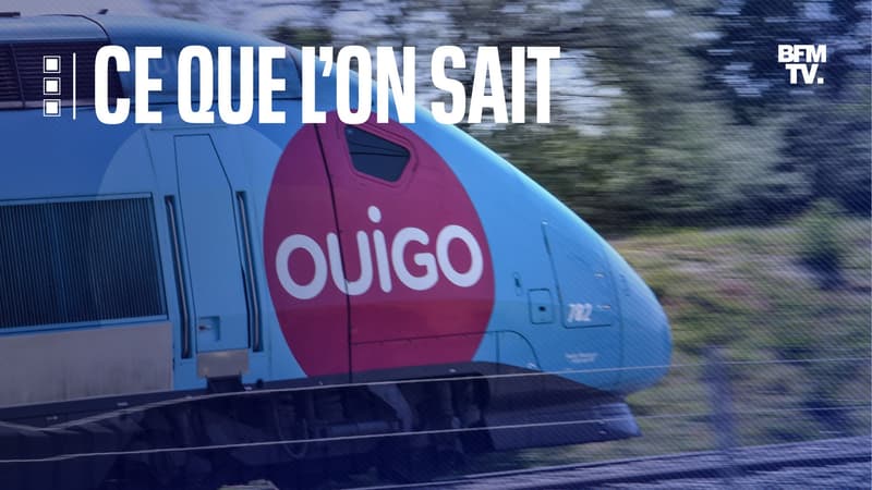 Un policier en civil, aidé de quelques passagers, a réussi à maîtriser un homme armé d'un couteau dans un TGV Annecy-Paris, 