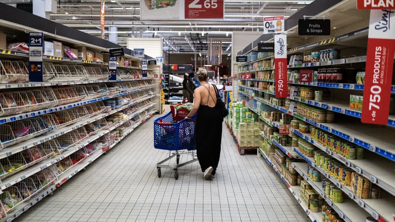 Un cliente dans un supermarché de Toulouse, le 4 septembre 2023 (photo d'illustration).