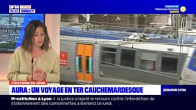 L'histoire du jour: un voyage cauchemardesque pour les passagers d'un TER à destination de Lyon 
