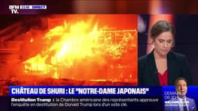 Japon: le Château de Shuri détruit par les flammes - 31/10