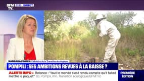 Barbara Pompili: "90% des néonicotinoïdes sont interdits mais on a un problème sur les betteraves" 