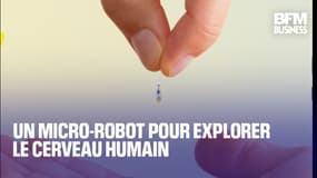  Un micro-robot pour explorer le cerveau humain 