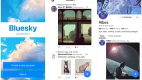 Premières images de Bluesky, le Twitter décentralisé