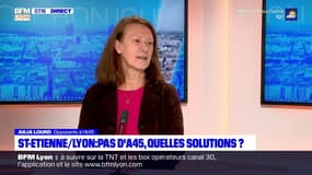 Saint-Etienne-Lyon: les opposants à l'A45 préconisent une amélioration de liaison TER